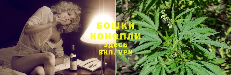 как найти   Новозыбков  Каннабис Ganja 